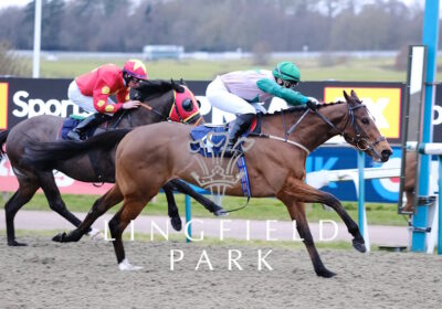 HEALING POWER Wins at Lingfield