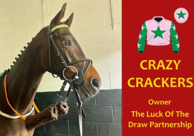 Crazy Crackers Wins at Newcastle!