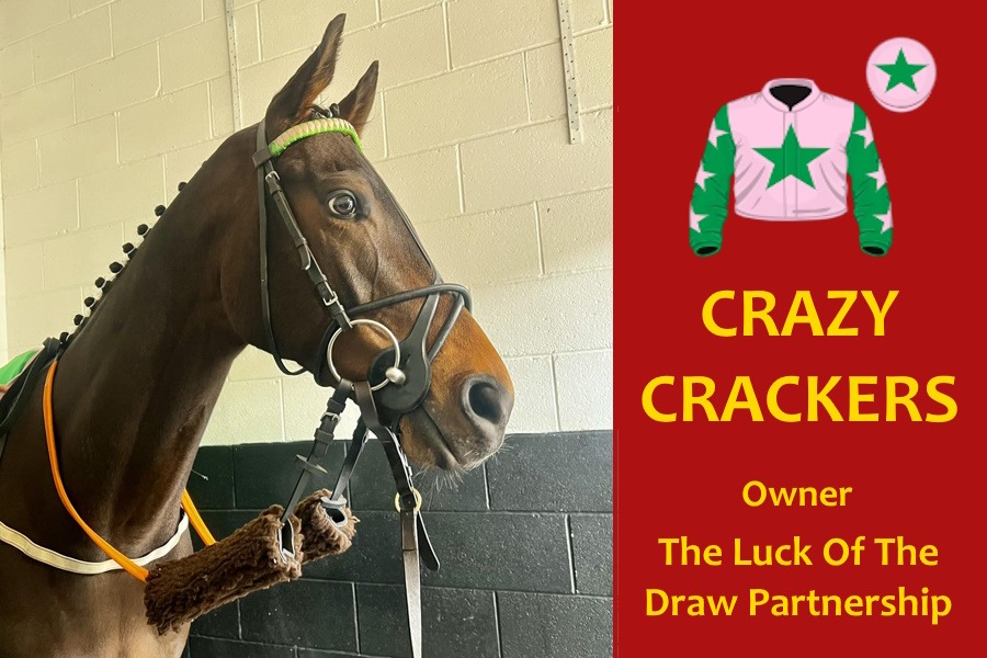 Crazy Crackers Wins at Newcastle!