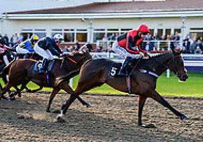 WILDE AND DANDY Wins at Chelmsford