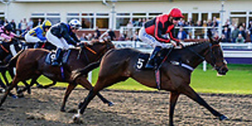 WILDE AND DANDY Wins at Chelmsford