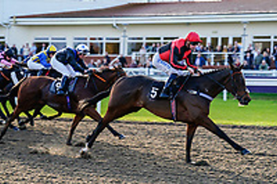 WILDE AND DANDY Wins at Chelmsford