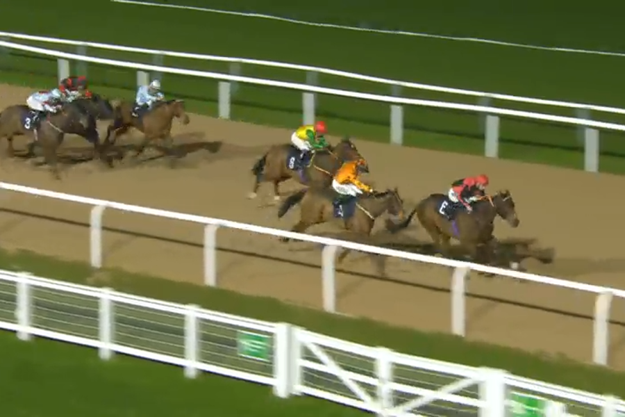 WILDE AND DANDY wins at Southwell!